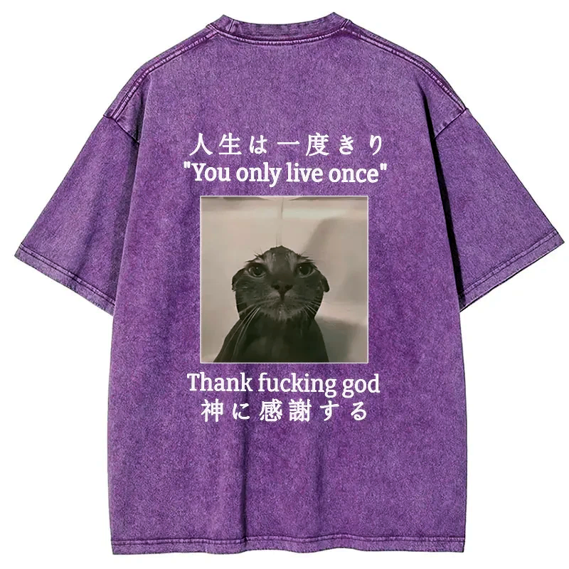 kyoto lion washed t-shirt gift idea