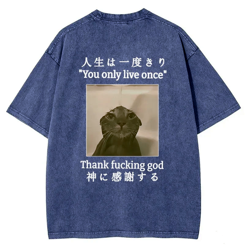 kyoto lion washed t-shirt gift idea