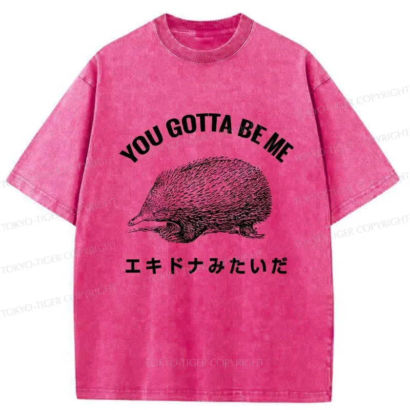 Washed Kyoto Lion T-Shirt for Summer