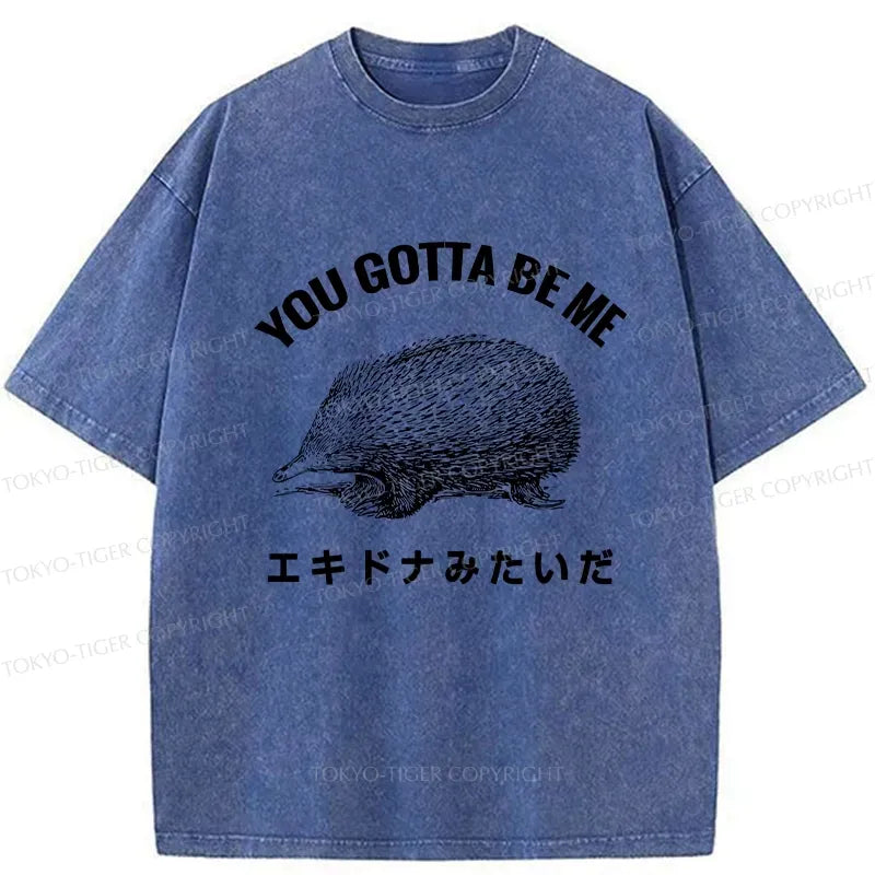 Washed Kyoto Lion T-Shirt for Summer