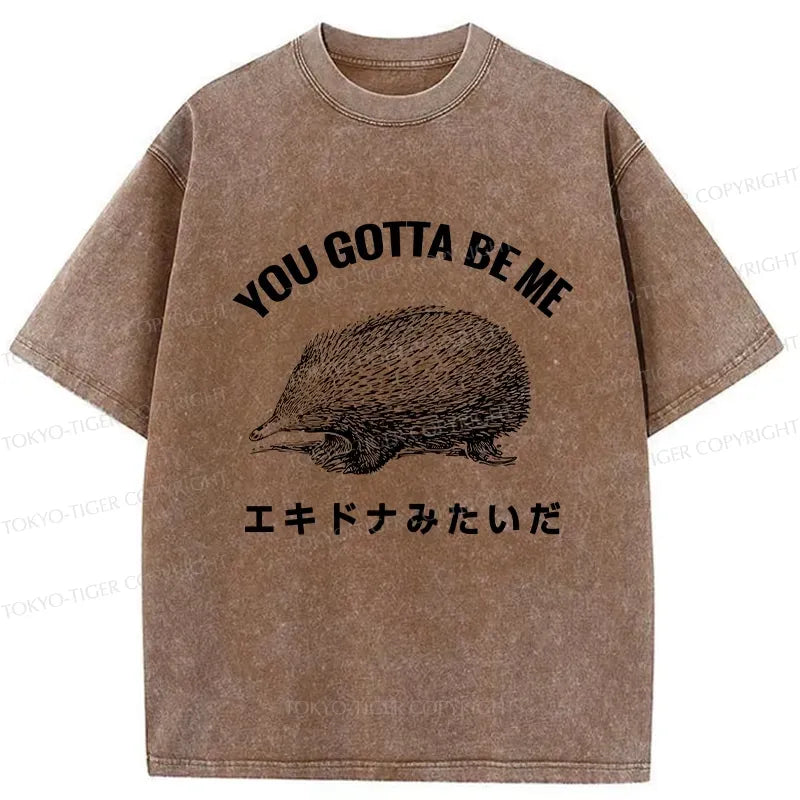 Kyoto-Lion Funny Echidna Washed T-Shirt