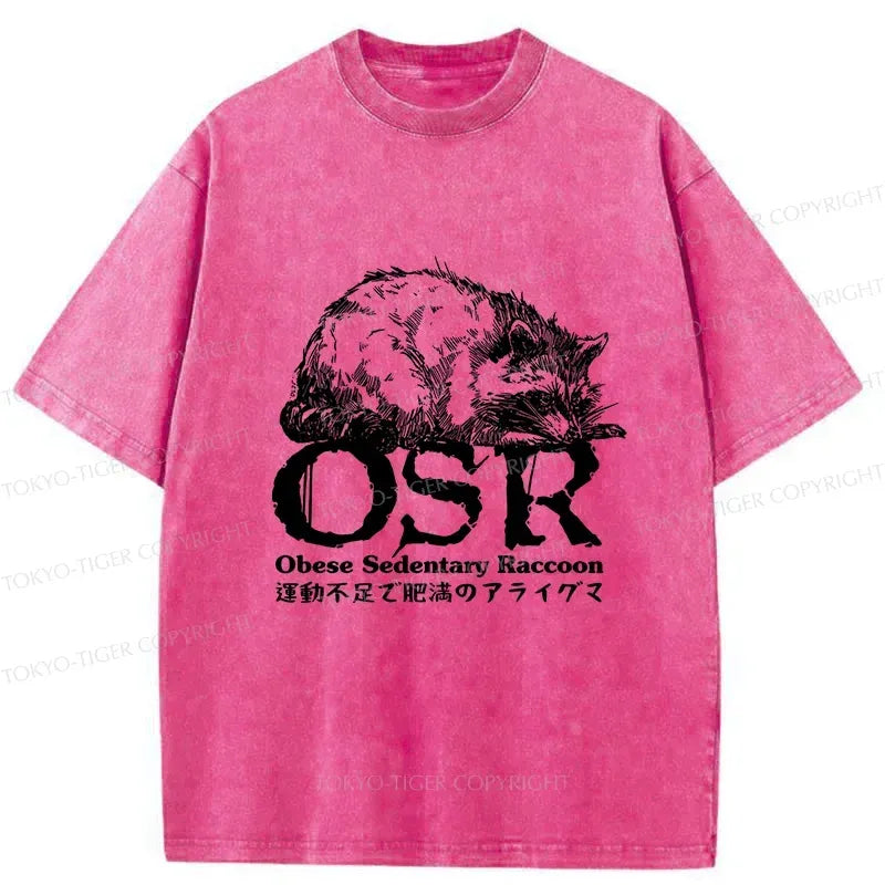 Japanese washed t-shirt with free shipping