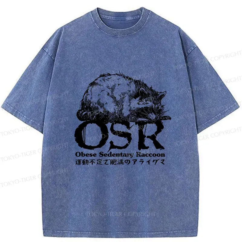 Japanese washed t-shirt with free shipping