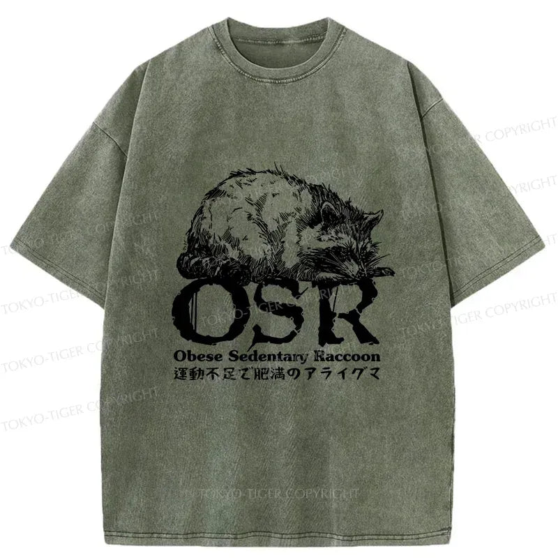 Kyoto Lion fat raccoon tee for daily wear