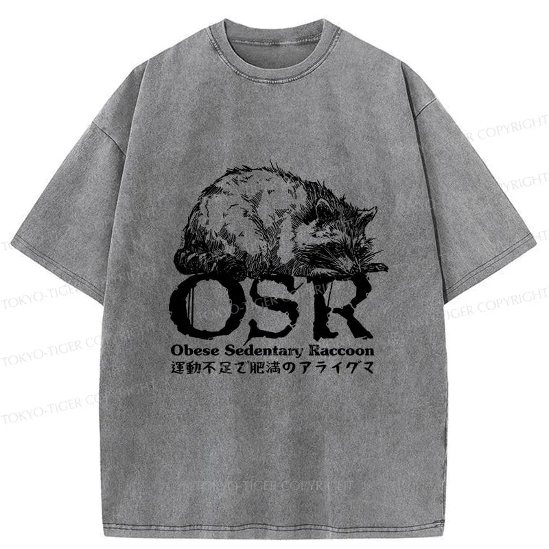 Kyoto Lion fat raccoon tee for daily wear