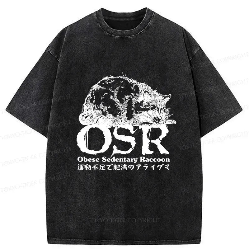 Japanese washed t-shirt with free shipping