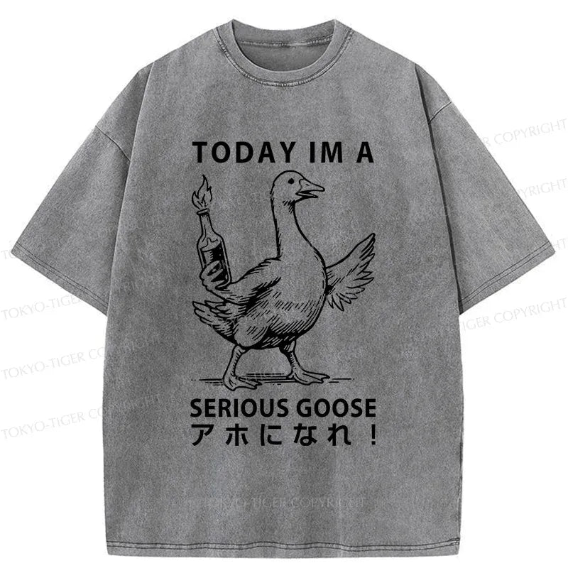 Kyoto-Lion Japanese Washed T-Shirt