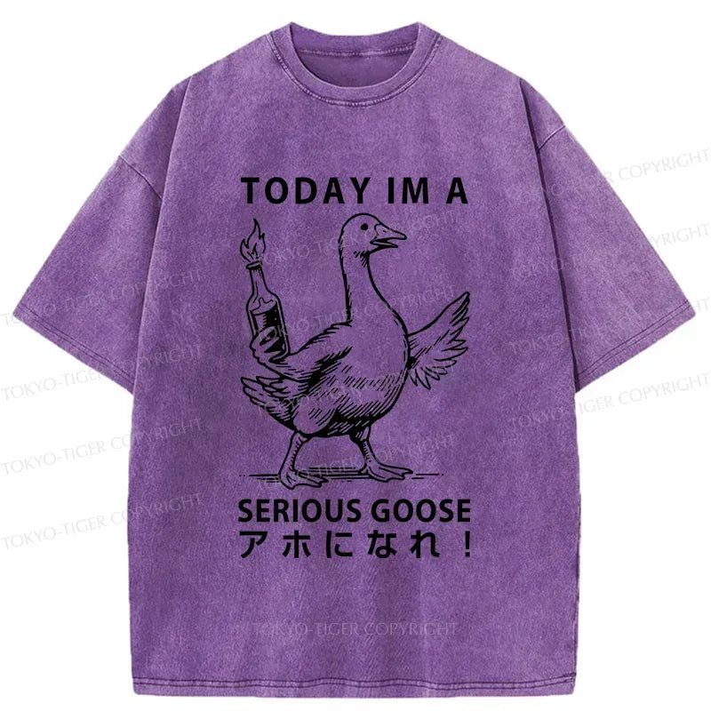 Kyoto-Lion Japanese Washed T-Shirt
