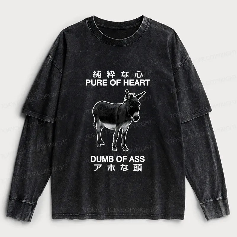 Kyoto Lion funny washed t-shirt