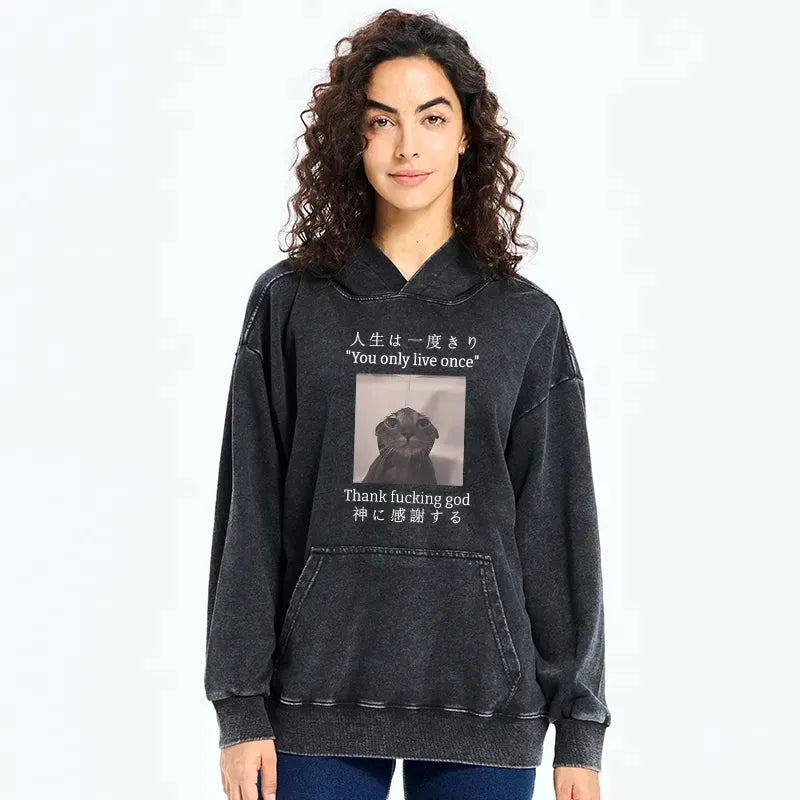Kyoto-Lion Funny Melancholy Cat Washed Hoodie