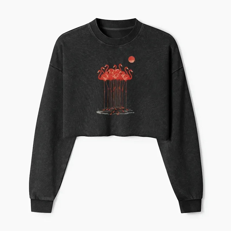 Japanese Vintage Washed Crop Sweatshirt for Women