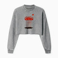 Kyoto-Lion Flamingos at Dusk Washed Crop Sweatshirt