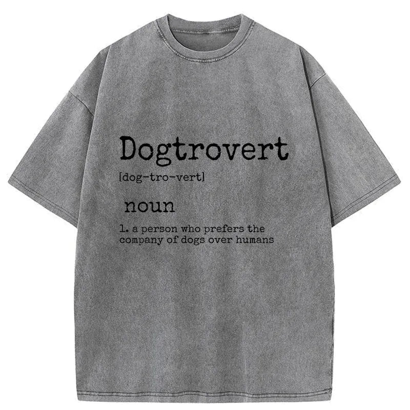 Kyoto Lion Funny Washed T-Shirt