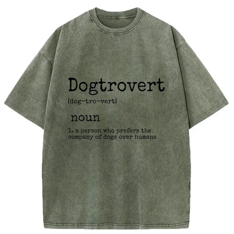 Kyoto Lion Funny Washed T-Shirt