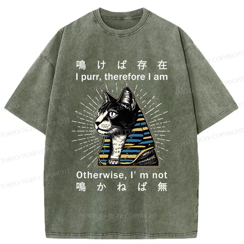 Kyoto-Lion Cat Pharaoh Washed T-Shirt
