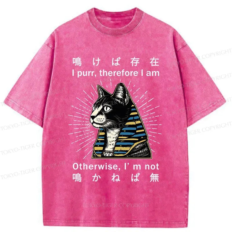 Kyoto-Lion Cat Pharaoh Washed T-Shirt