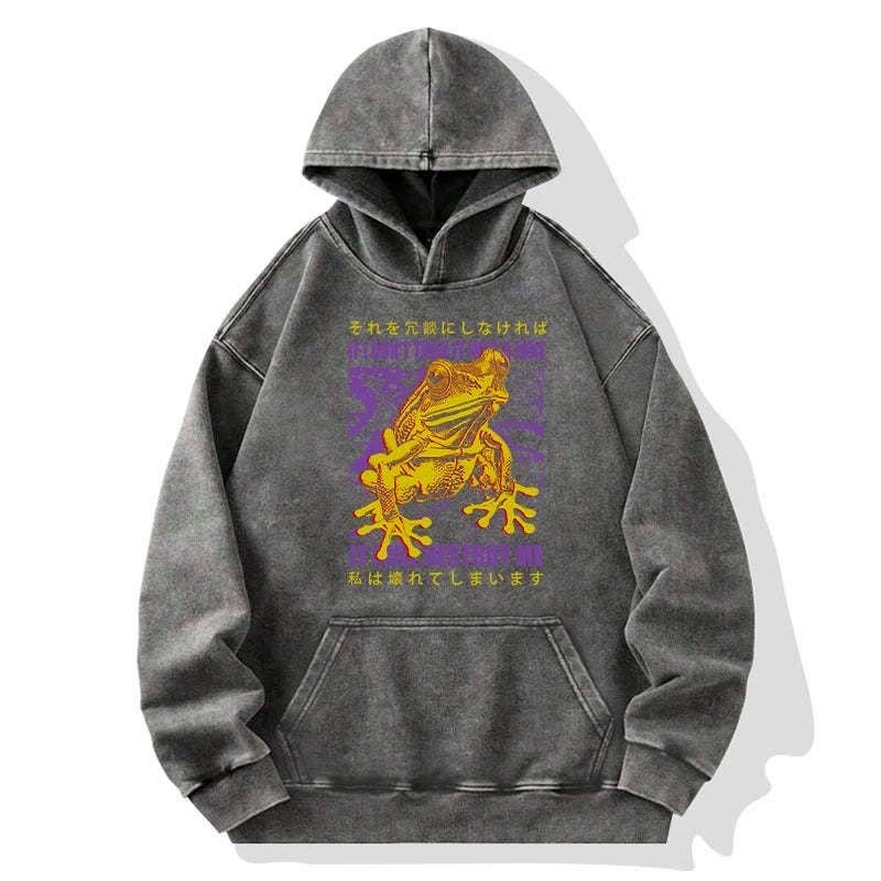 Kyoto-Lion A Frog Prone To Emotional Breakdown Washed Hoodie