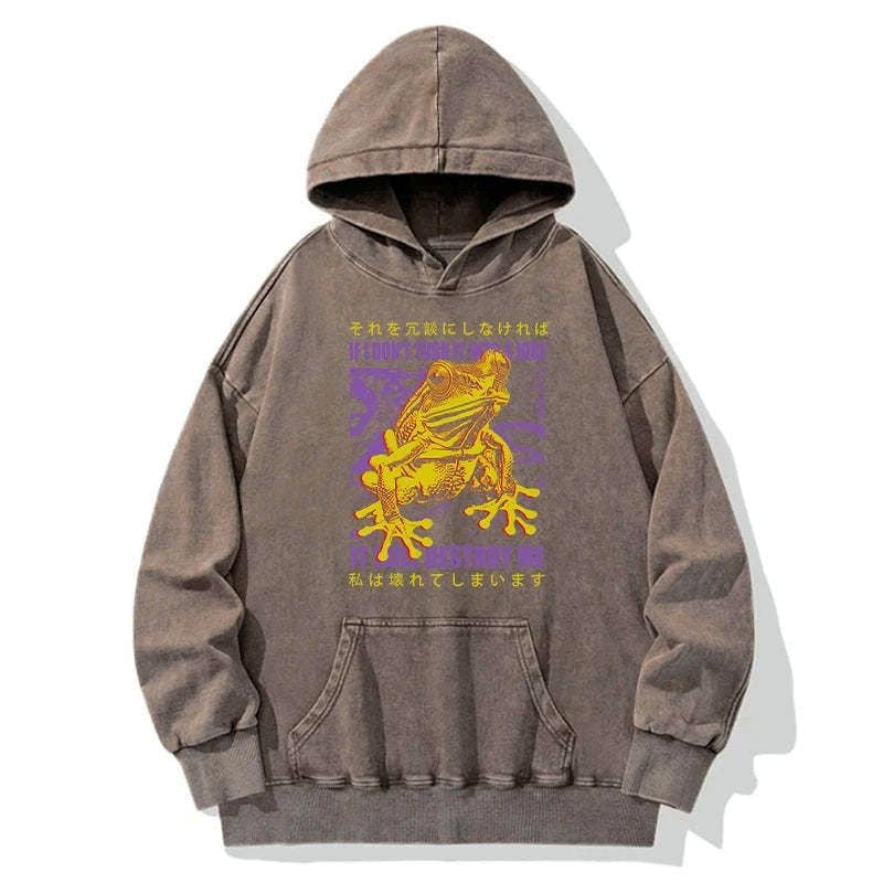 Kyoto-Lion Washed Hoodie Best Seller