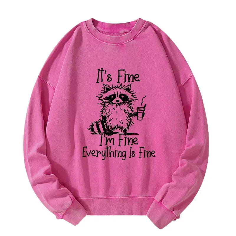 Funny Raccoon Sweatshirt for Daily Wear