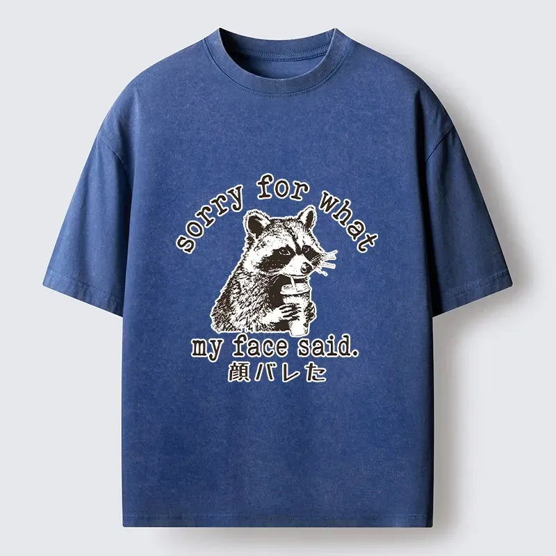 Kyoto-Lion Raccoon My Face Said Meme Washed T-Shirt
