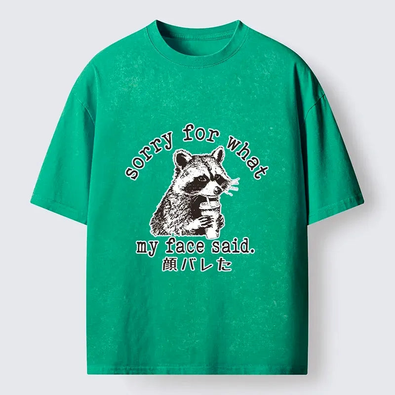 Washed unisex raccoon print tee