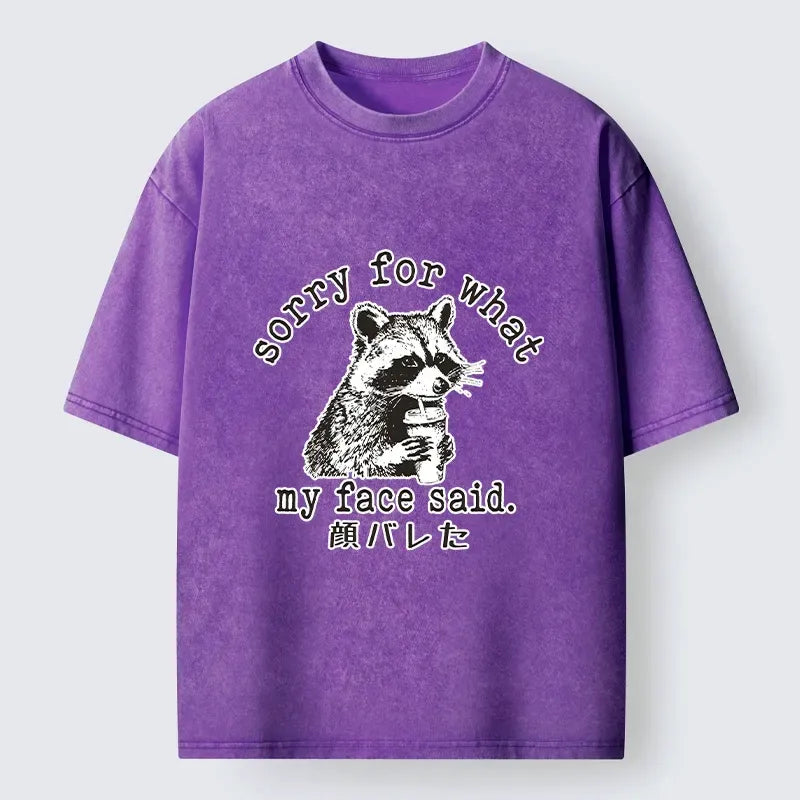 Kyoto-Lion Raccoon My Face Said Meme Washed T-Shirt