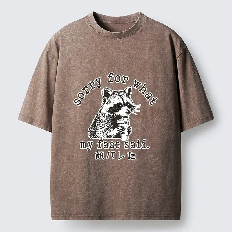 Japanese meme t-shirt for daily wear