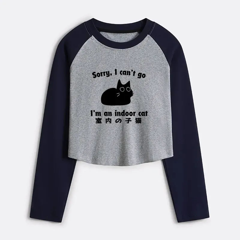 Japanese vintage cat crop raglan t-shirt