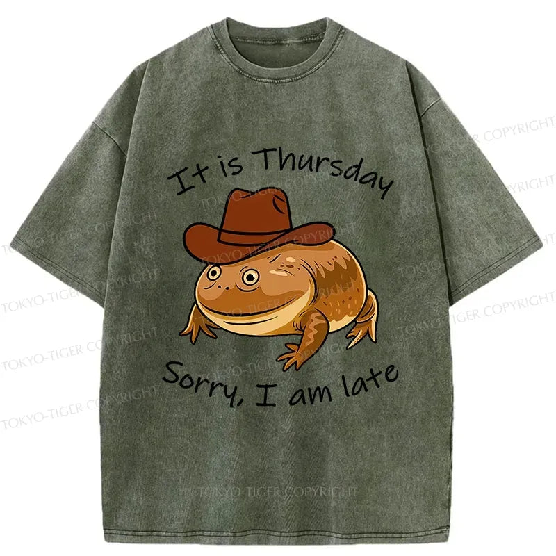 Funny Frog Washed T-Shirt for Daily Wear