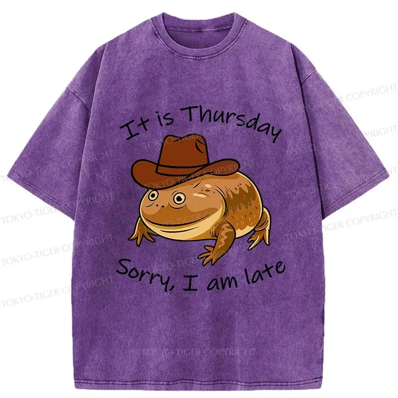 Japanese Vintage Frog T-Shirt for Unisex