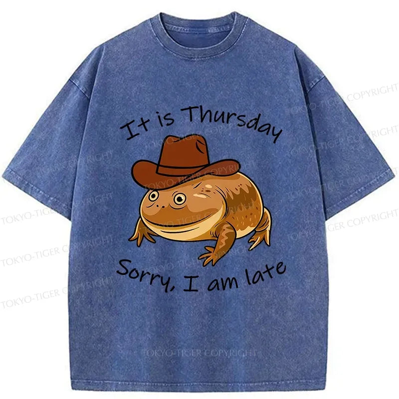 Funny Frog Washed T-Shirt for Daily Wear