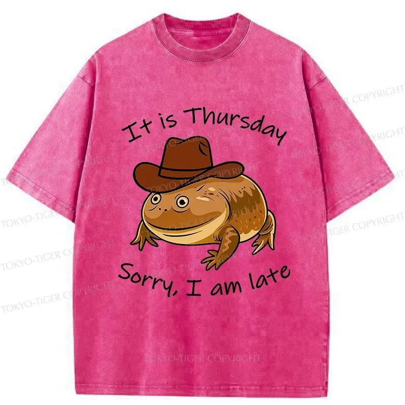 Japanese Vintage Frog T-Shirt for Unisex