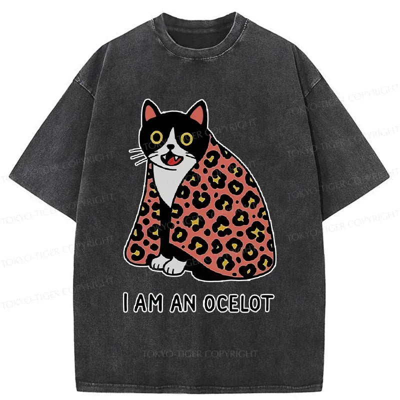 Trendy Kyoto Lion Washed T-Shirt