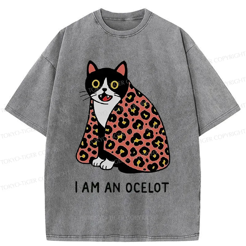 Trendy Kyoto Lion Washed T-Shirt