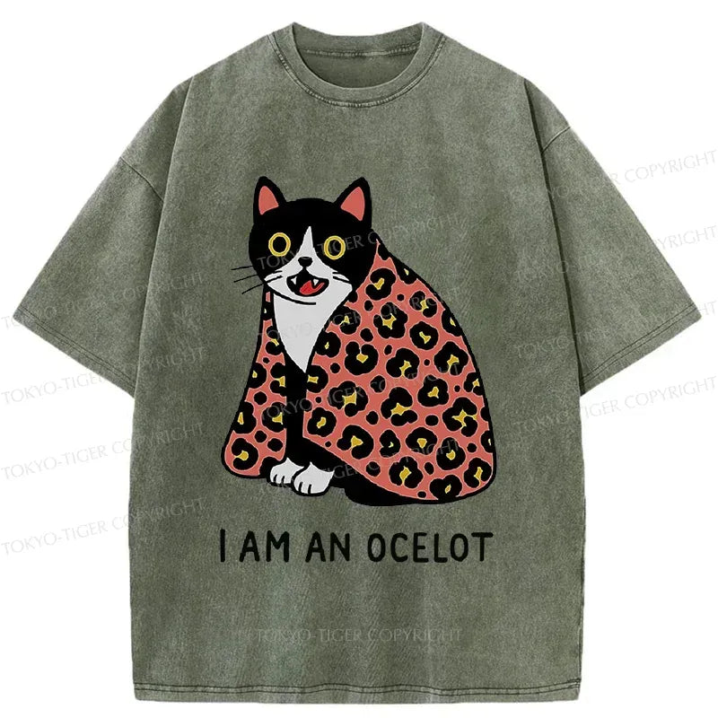 Trendy Kyoto Lion Washed T-Shirt