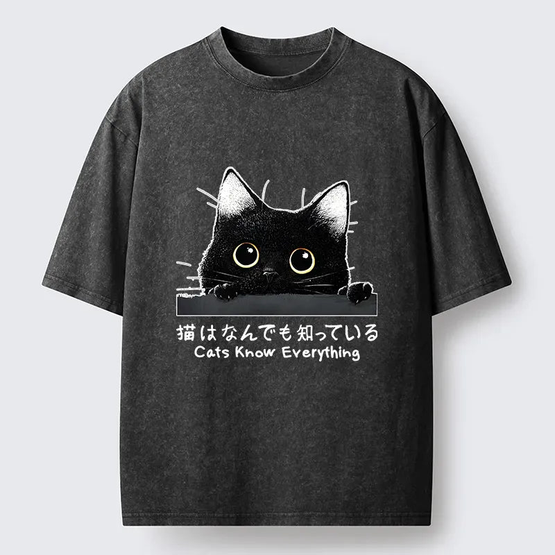 Kyoto-Lion Cats Know Everything Washed T-Shirt