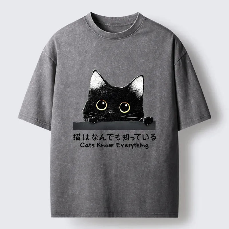 Kyoto-Lion Cats Know Everything Washed T-Shirt