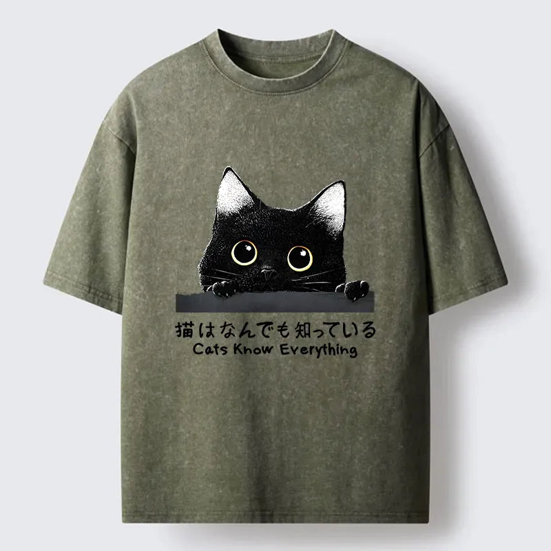 Kyoto-Lion Cats Know Everything Washed T-Shirt