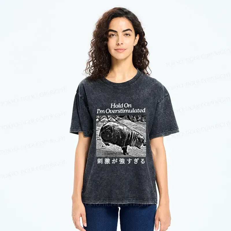 Kyoto-Lion Overstimulated Moo Deng Washed T-Shirt