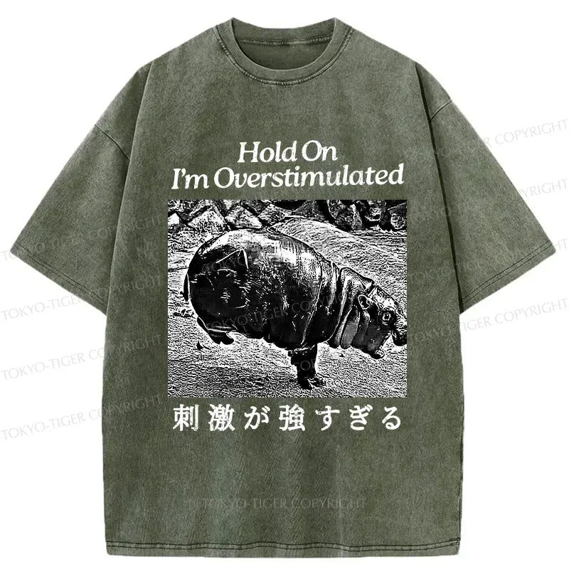Kyoto-Lion Overstimulated Moo Deng Washed T-Shirt