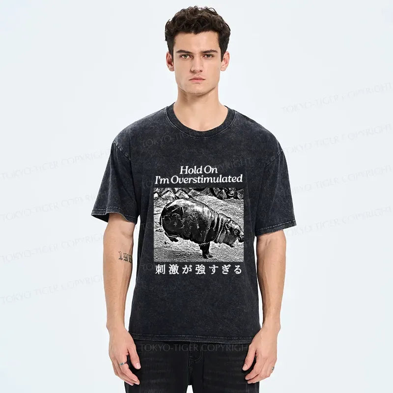 Kyoto Lion Vintage T-Shirt On Sale