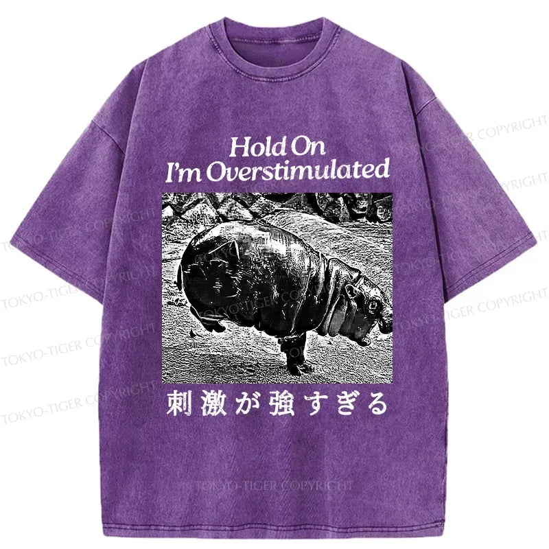 Kyoto Lion Vintage T-Shirt On Sale