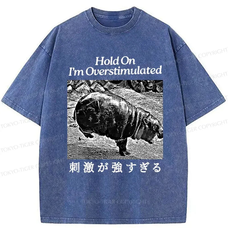 Kyoto Lion Vintage T-Shirt On Sale