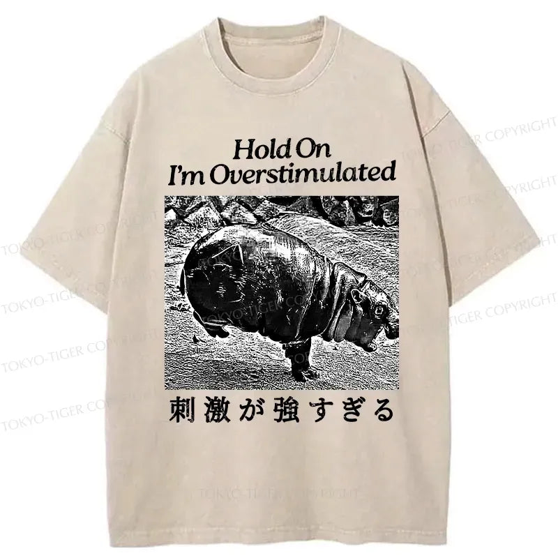 Kyoto-Lion Overstimulated Moo Deng Washed T-Shirt