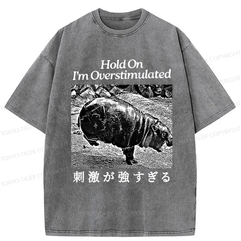 Kyoto-Lion Overstimulated Moo Deng Washed T-Shirt