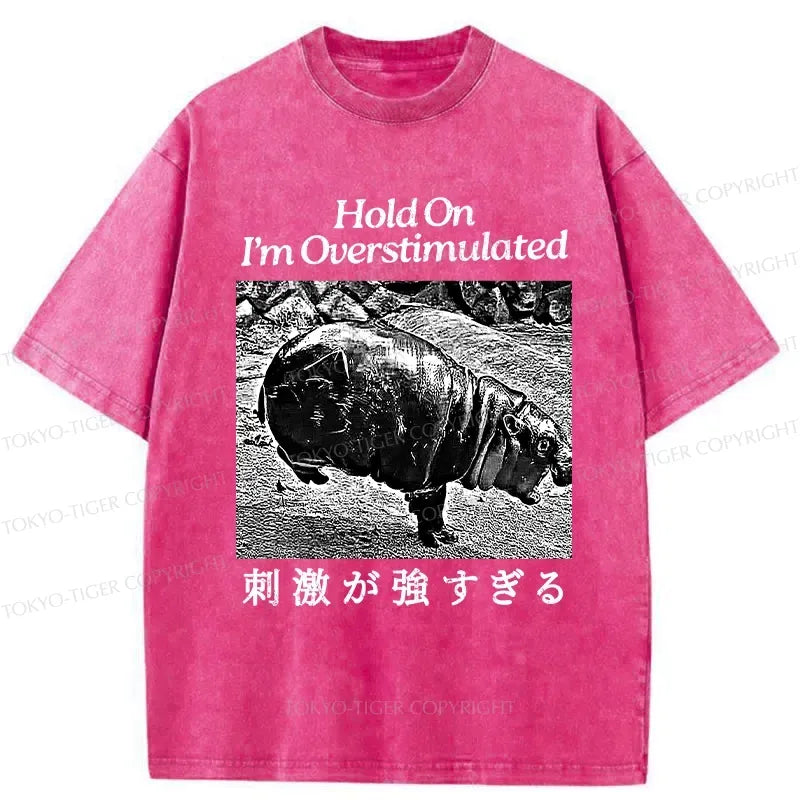 Kyoto-Lion Overstimulated Moo Deng Washed T-Shirt