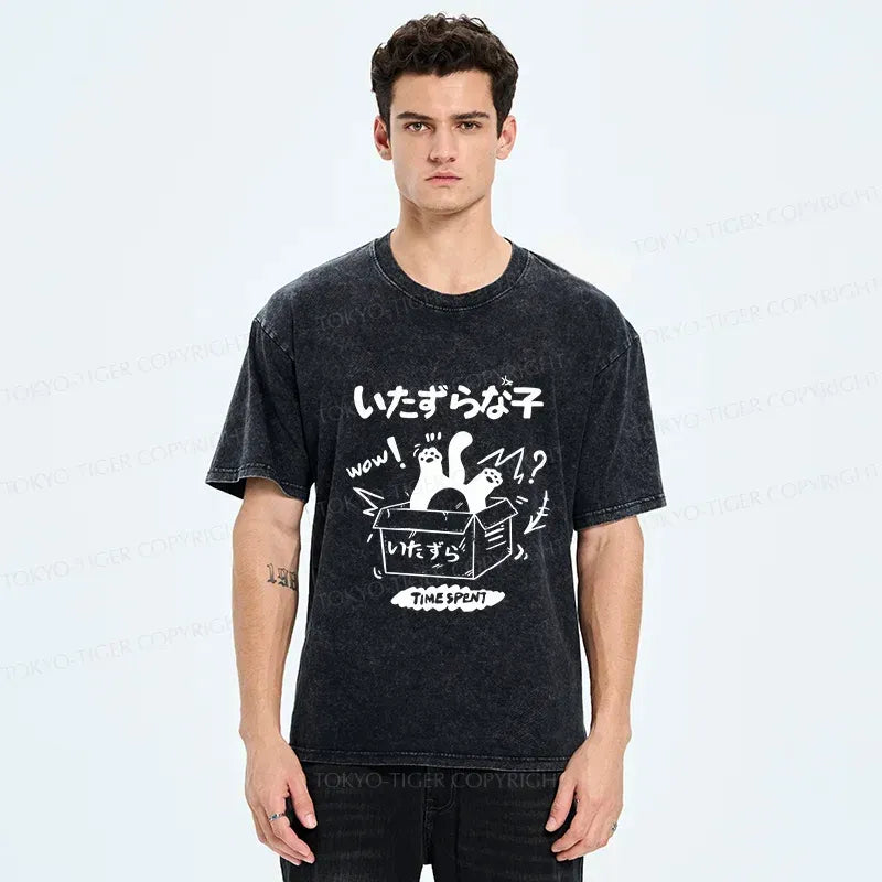 Kyoto-Lion Cat Entering The Box Washed T-Shirt