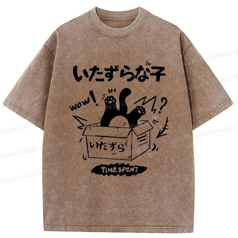 Kyoto-Lion Cat Entering The Box Washed T-Shirt
