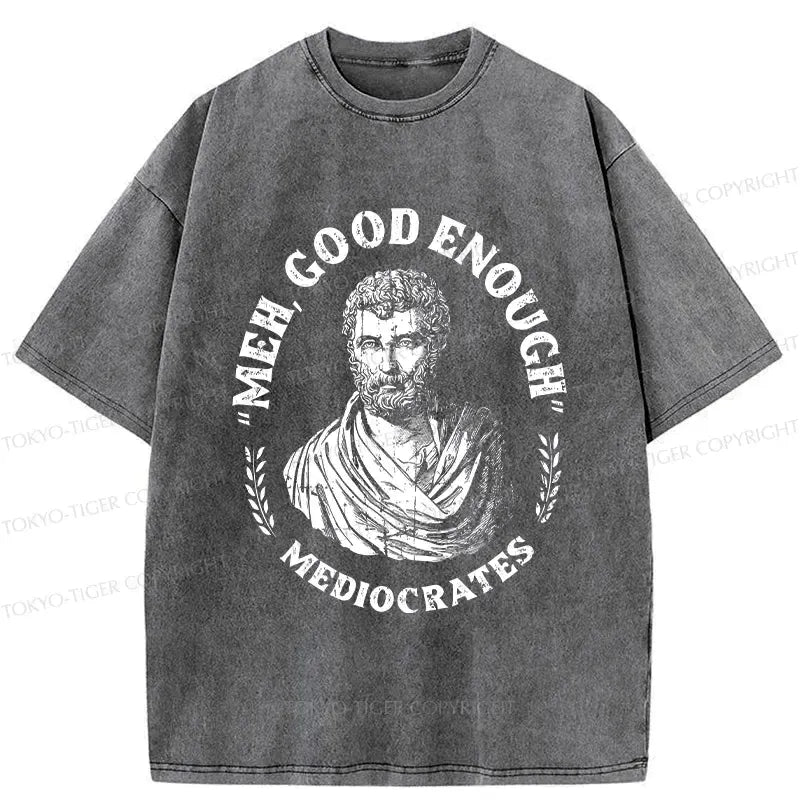 Japanese funny saying washed T-shirt for daily wear