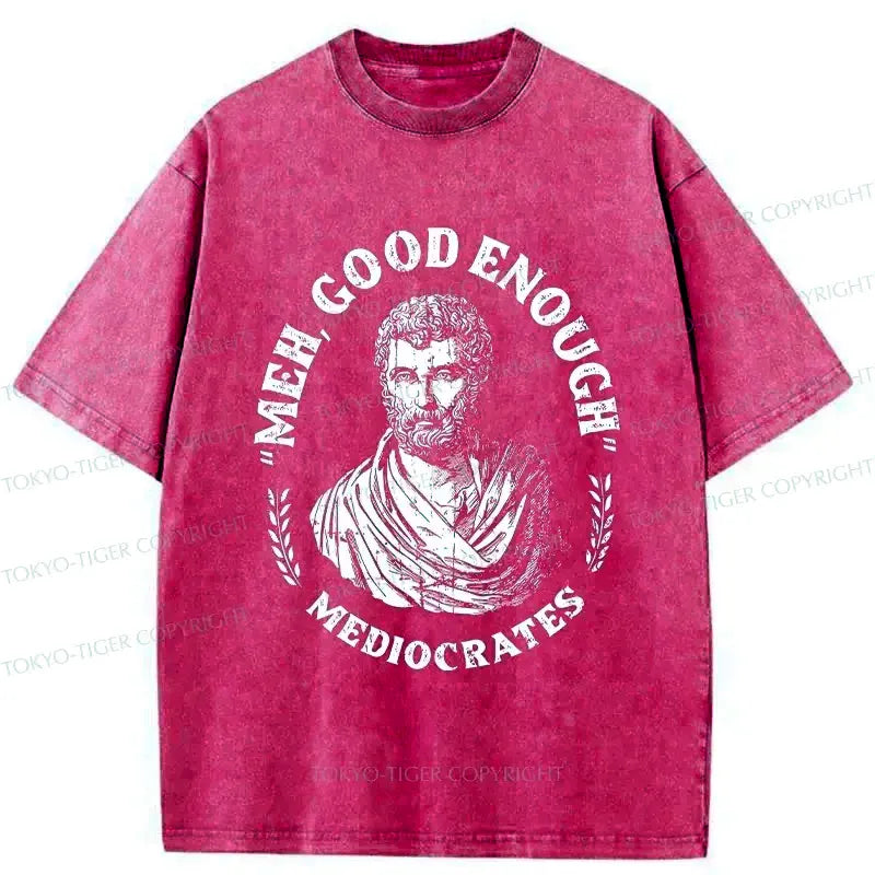 Kyoto-Lion Socrates Funny Saying Washed T-Shirt